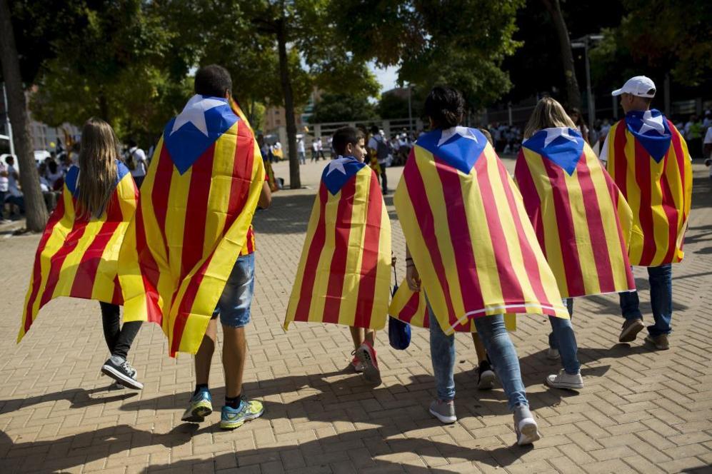 Un perro, vestido con la bandera estelada y un... | Cataluna | EL MUNDO