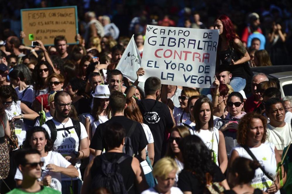 Una pancarta, con el texto 'El campo de Gibraltar contra el Toro de la...