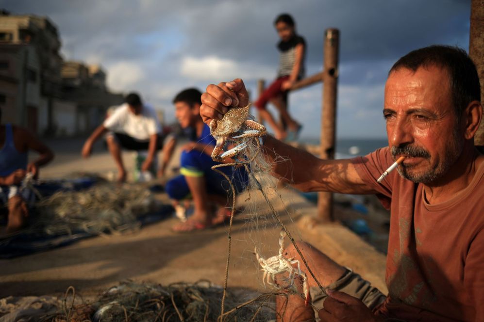 Pescadores palestinos limpian sus redes de cangrejos en Gaza.