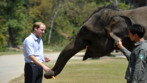El prncipe Guillermo visitando la Asian Elephant Protection, en una...