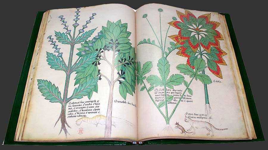 Tratado de Plantas Medicinales (Lombarda, C. 1440), el original se...