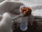 Anlisis de carne picada en un laboratorio.