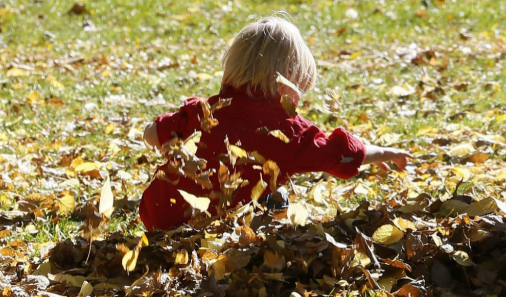 Un nio juega entre las hojas de otoo en el madrileo Parque del...