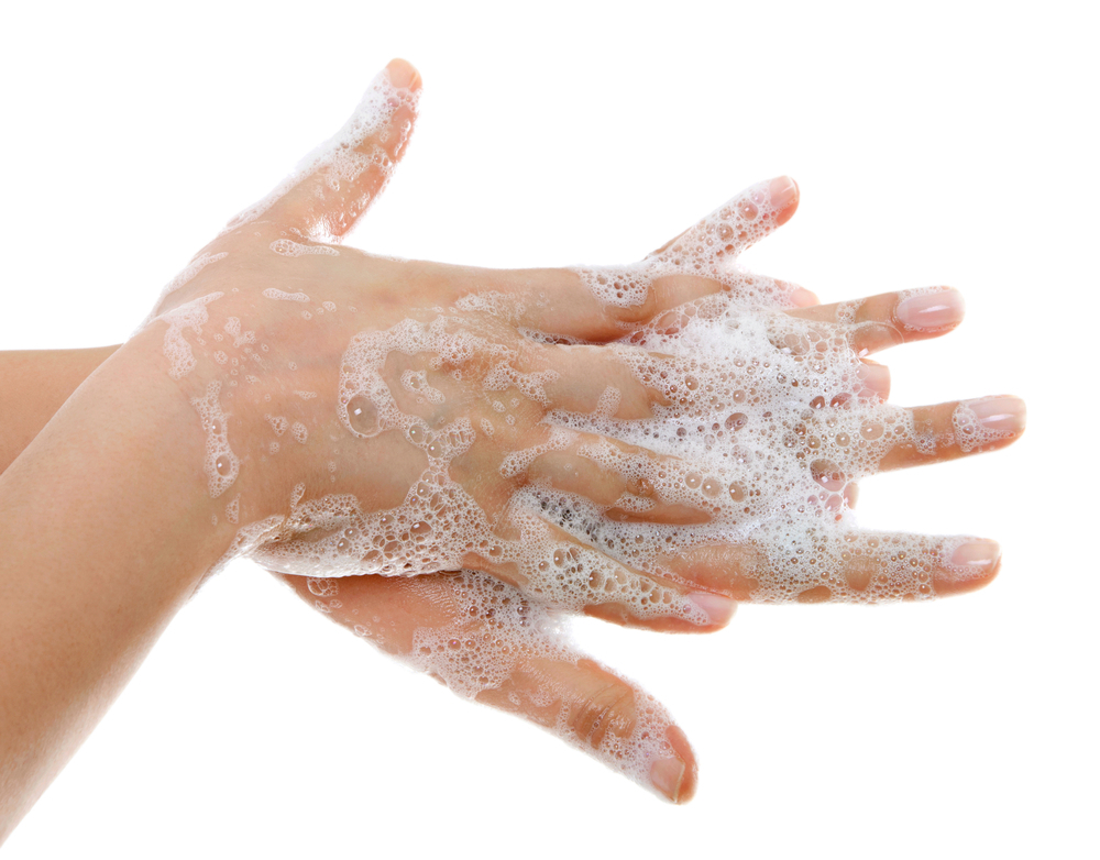 Validación transatlántico datos La importancia de lavarse las manos | Zen sección | EL MUNDO