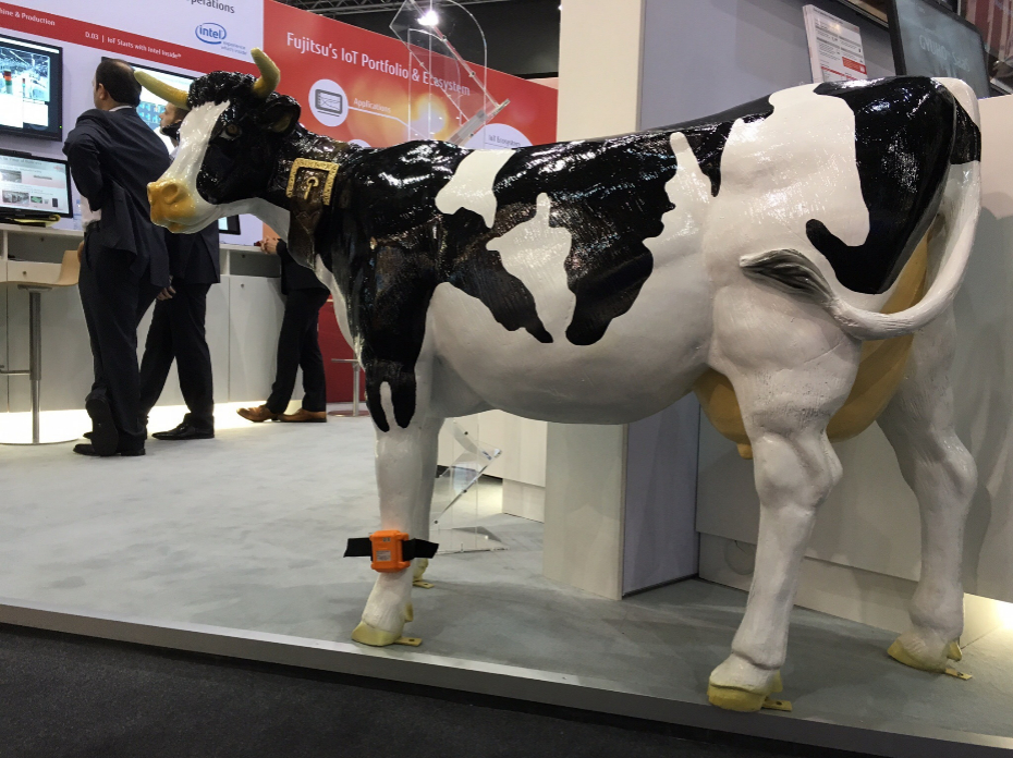 <strong>Wearables para vacas</strong> El ltimo brazalete inteligente de Fujitsu no est pensado para los 'runners' ni promete convertirse en un entrenador virtual. Se pone en las patas de las vacas. Gracias a l es posible monitorizar los niveles de estrs y conseguir mayores niveles de produccin de leche o inseminaciones con mayor ndice de xito.