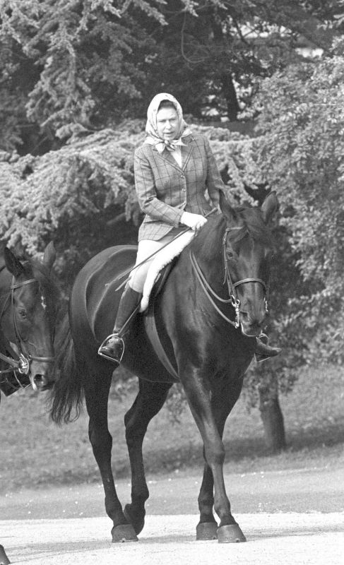 Isabel II, una amazona en Windsor en 1982.