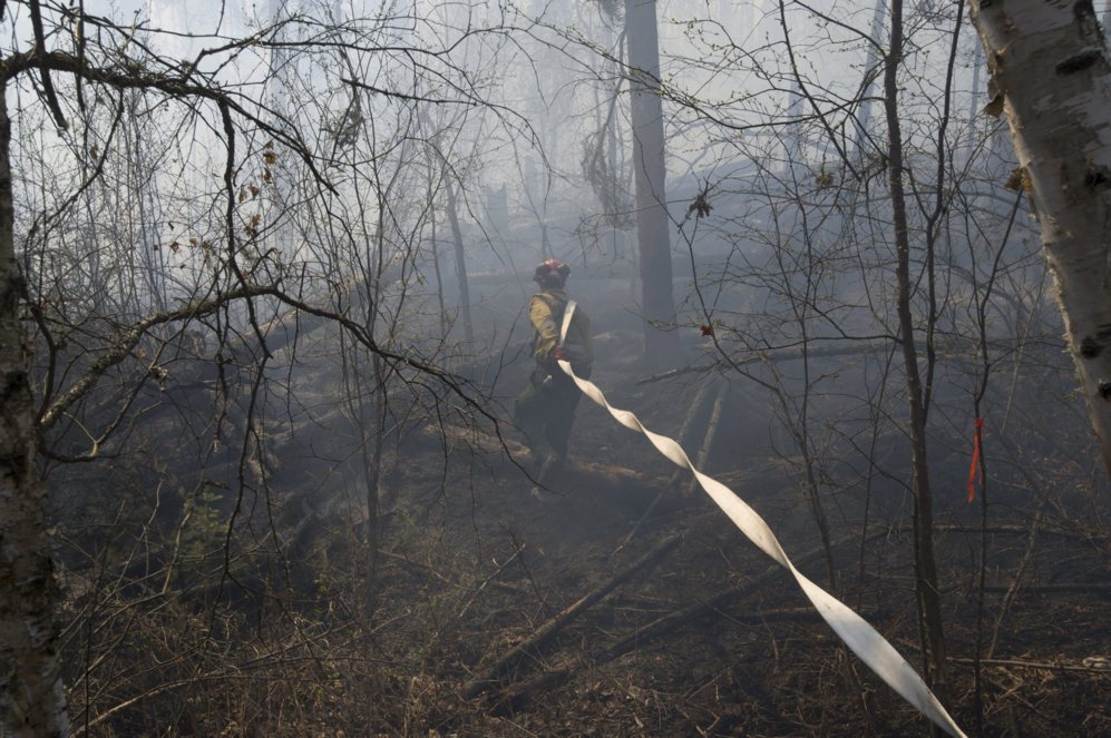 Un bombero conduce su manguera hasta el interior del bosque devastado...