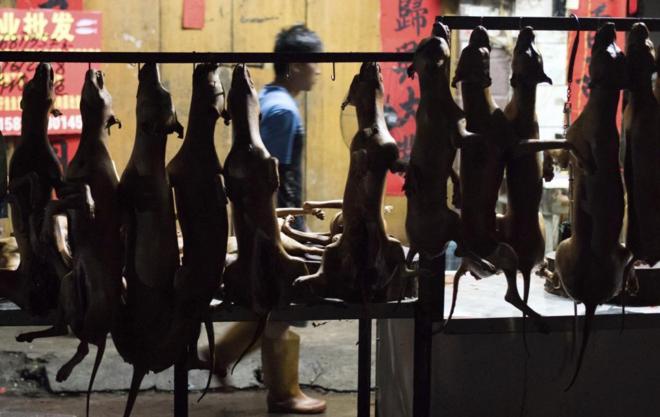 Perros cocinados y expuestos en Yulin, en el sur de la provincia de...