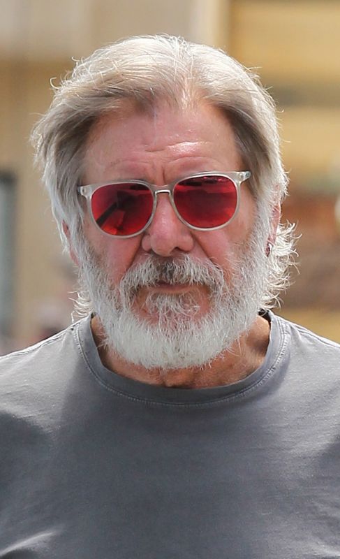 Harrison Ford. El accidente que acab con el actor Harrison Ford (74)...