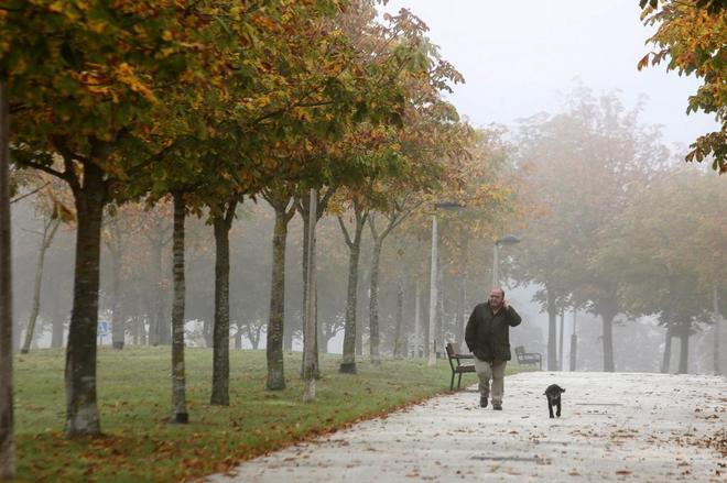 Un hombre pasea con su perro a las afuerzas de Vitoria, cubierta por...