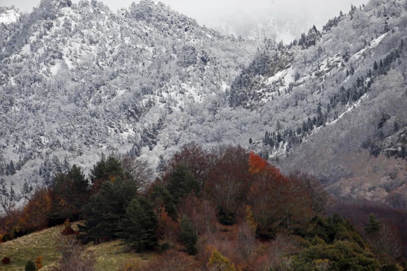Navarra luce un bonito contraste entre el color otoal de los bosques...