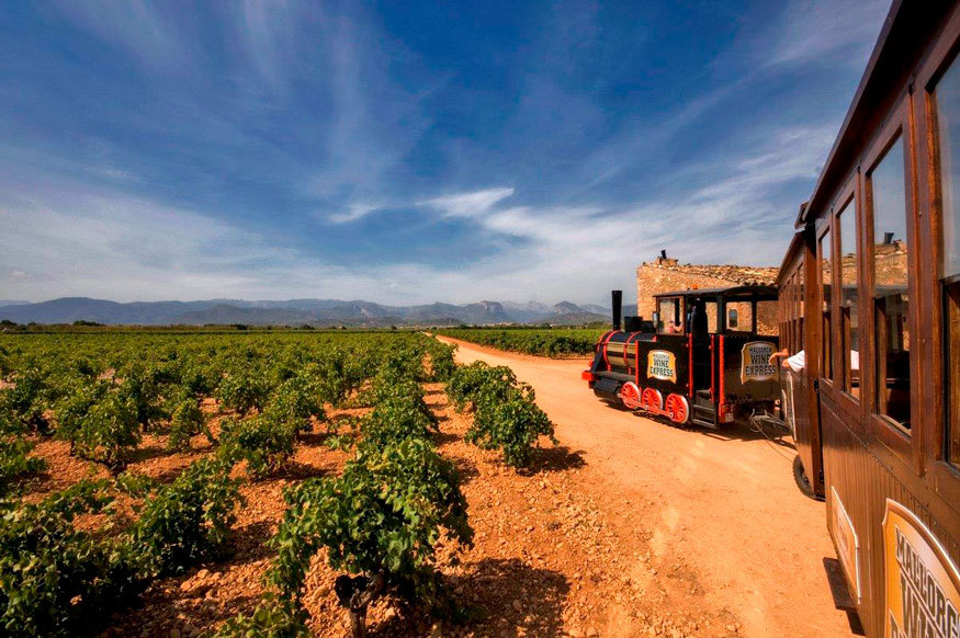 Mallorca Wine Tours ofrece unos viajes muy especiales en tren por...