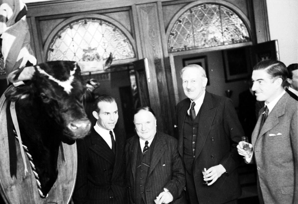 La cabeza de toro que Manolete regal a Winston Churchill, con la V...
