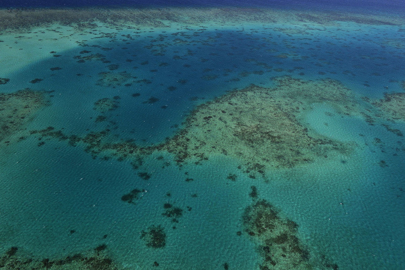 Este frágil ecosistema de corales (unas 400 especies diferentes)...