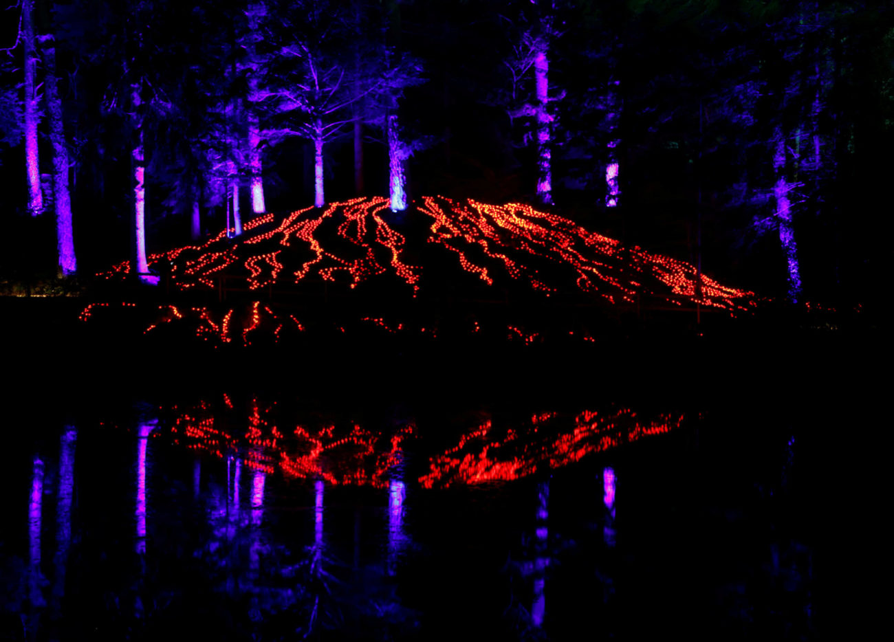 Los rboles se iluminan en el Bosque Encantado, un espectculo anual...