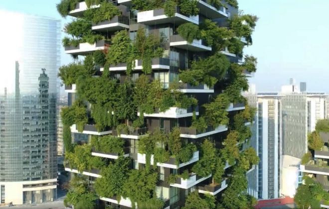 El Arquitecto Que Diseña Edificios Para árboles Contra El