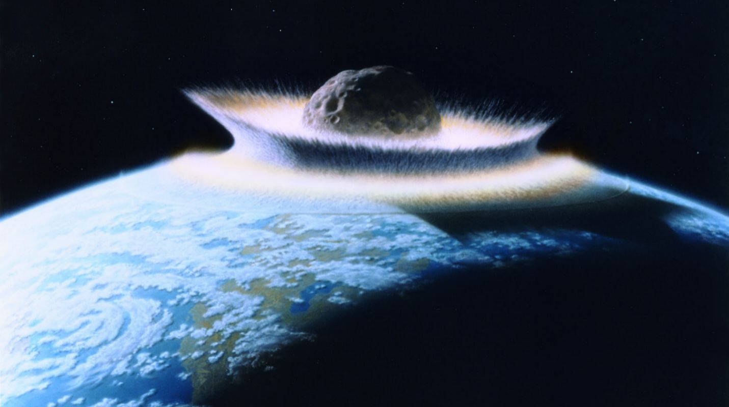 Así volvió la vida tras el asteroide que extinguió a los dinosaurios |  Ciencia