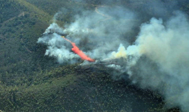 Imagen del incendio en el paraje de La Zarza.