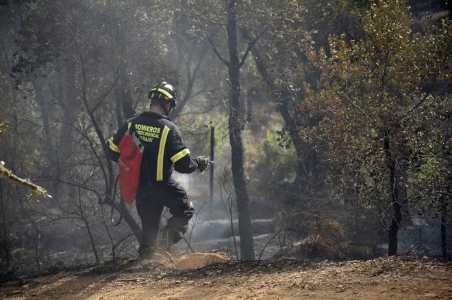 Un agene forestal trabaja sobre el incendio forestal de San Vicente de...
