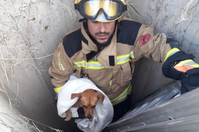 Los bomberos rescatan a un perro que se ha caído a un pozo en la calle ...