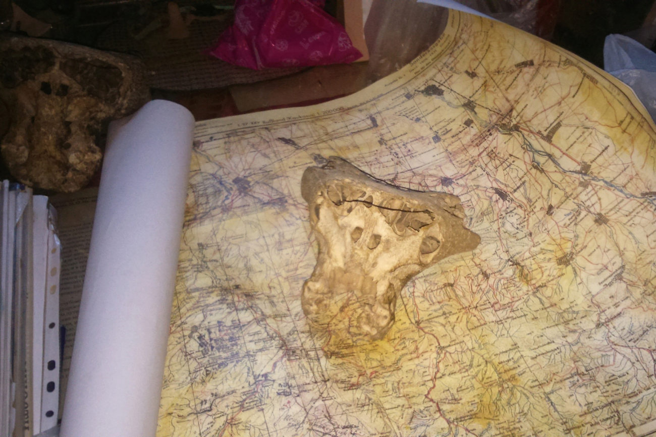 Uno de los crneos posado sobre un mapa alemn de la Repblica de...