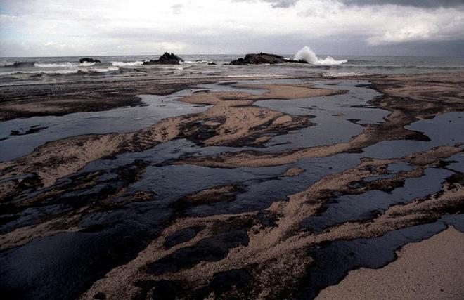 Un vertido de más 250.000 litros de petróleo "imposible de limpiar" en las  costas de Terranova | Ciencia