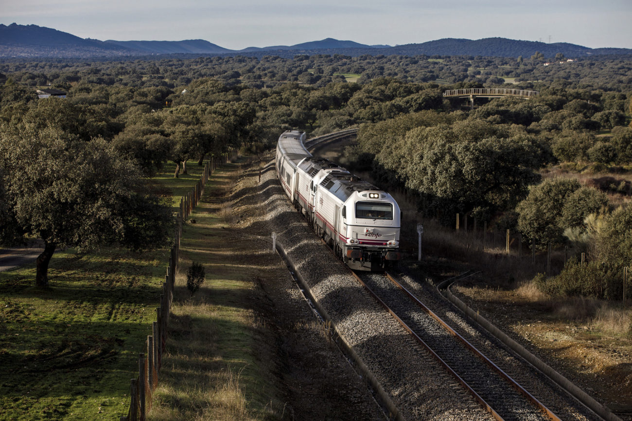 El tren con destino Madrid atraviesa una dehesa de encinas junto a...