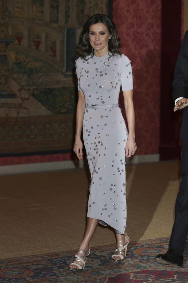 Letizia repite vestido de estrellas de Nina Ricci en El Pardo - Con motivo  de ARCO, el presidente... | Moda | EL MUNDO