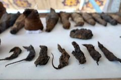 Los ratones momificados que esconda la tumba faranica del noble Tutu