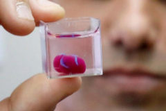 Un corazn impreso en 3D a partir de tejidos humanos que evita el riesgo de rechazo