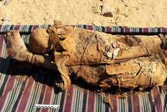 Restos de momias hallados en la tumba