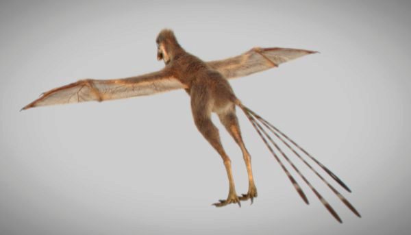 El dinosaurio que volaba con alas de murciélago | Ciencia