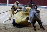 El quinto toro de La Quinta dio espectculo para el pblico en el caballo