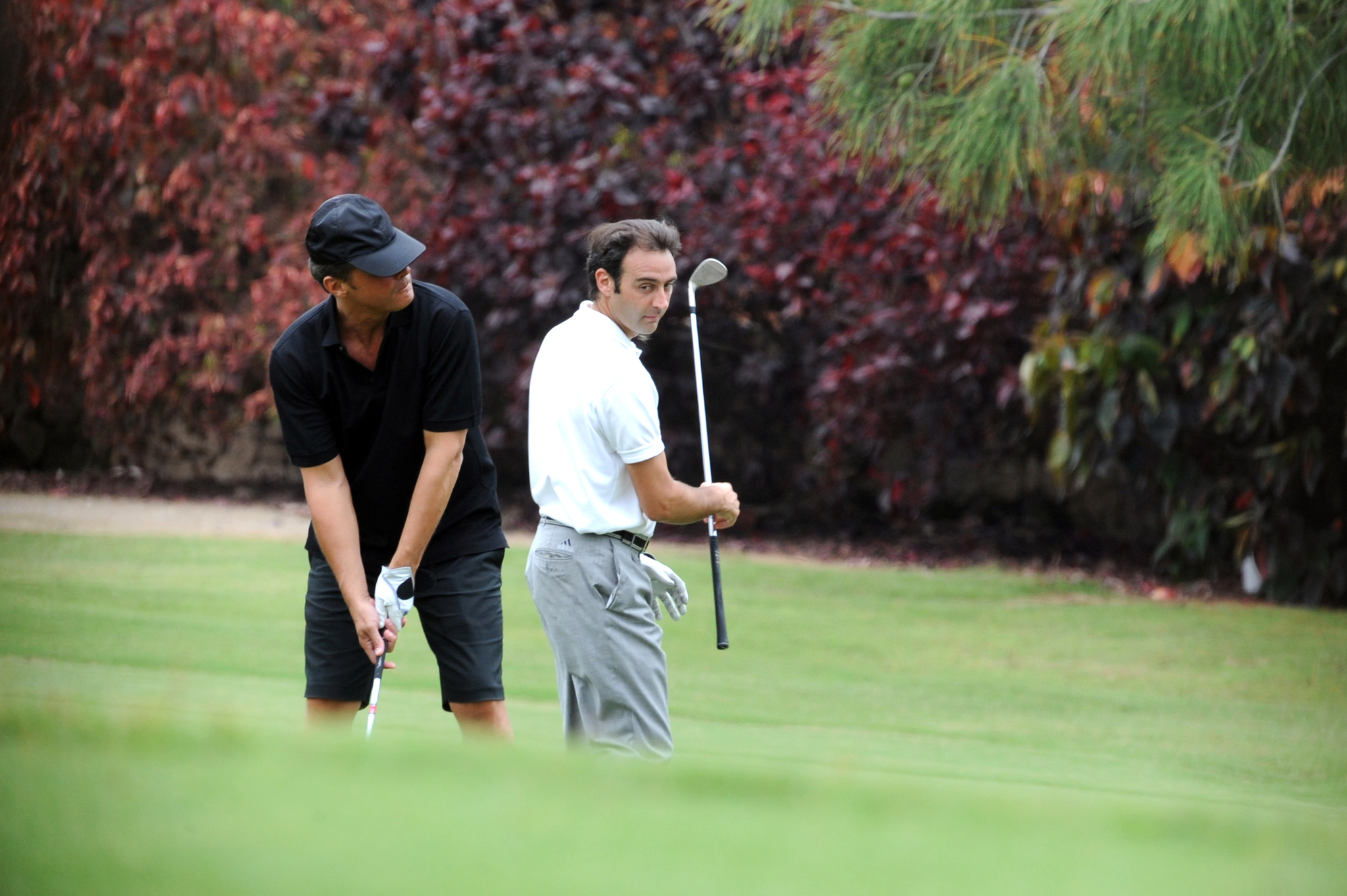 Luis MIguel y Enrique Ponce, jugando al golf en Tenerife.