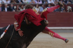 El cuarto toro de Adolfo Martn hunde todo el pitn izquierdo de Manuel Escribano, este jueves, en Las Ventas.