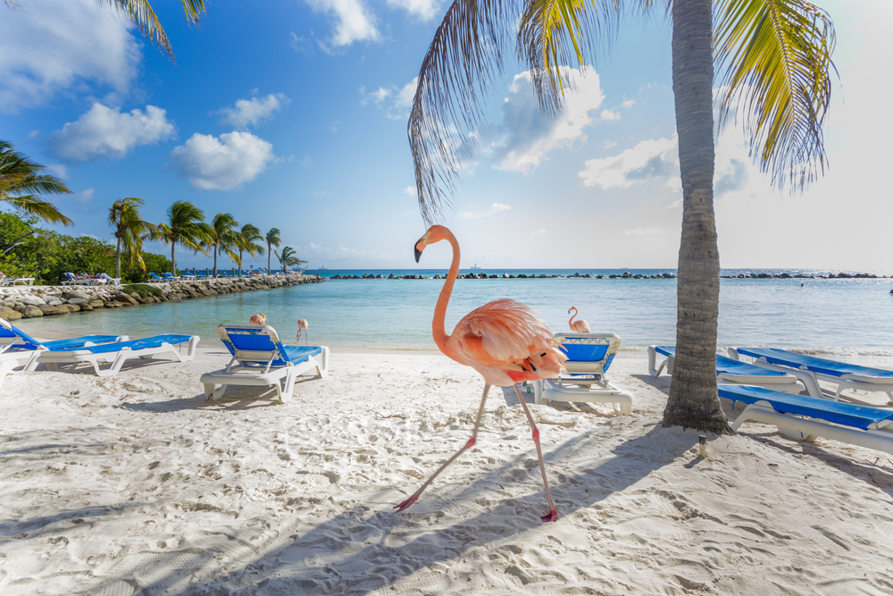 Conocida como La Isla Feliz, Aruba es todo lo que se le puede...