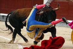 El diestro Pepe Romn sufre una cornada en la Plaza de las Ventas, en la Feria de San Isidro, en Madrid