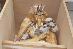 El atad dorado de Tutankamn embalado.
