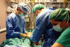 El cirujano Lorenzo Boni y la perfusionista Maite Garca, en una intervencin.