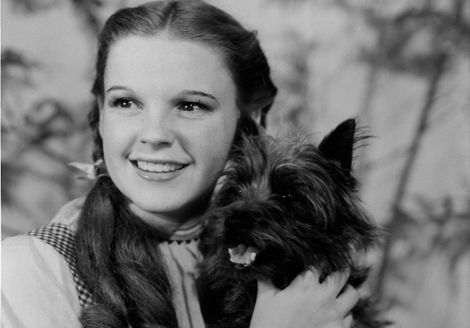 Judy Garland con su perro Toto - La actriz, icono gay: 'Over the rainbow', la cancin que populariz interpretando a Dorothy en 'El mago de Oz' falleci seis da anes de los acontecimiento del Stonewall. Su cancin se convirti en el himno de la revuelta.