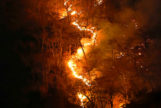 9.500 incendios en una semana: qu hay tras el fuego en la selva ms densa del mundo