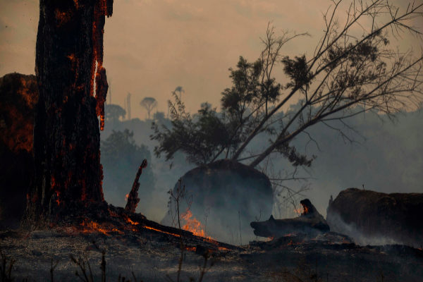 Fuego en Altamira, en el Amazonas brasileño.