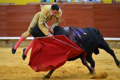 Paco Urea es cogido por el segundo toro de Bauelos, este viernes, en Palencia.