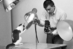 El fotgrafo, en su estudio con uno de sus modelos felinos.
