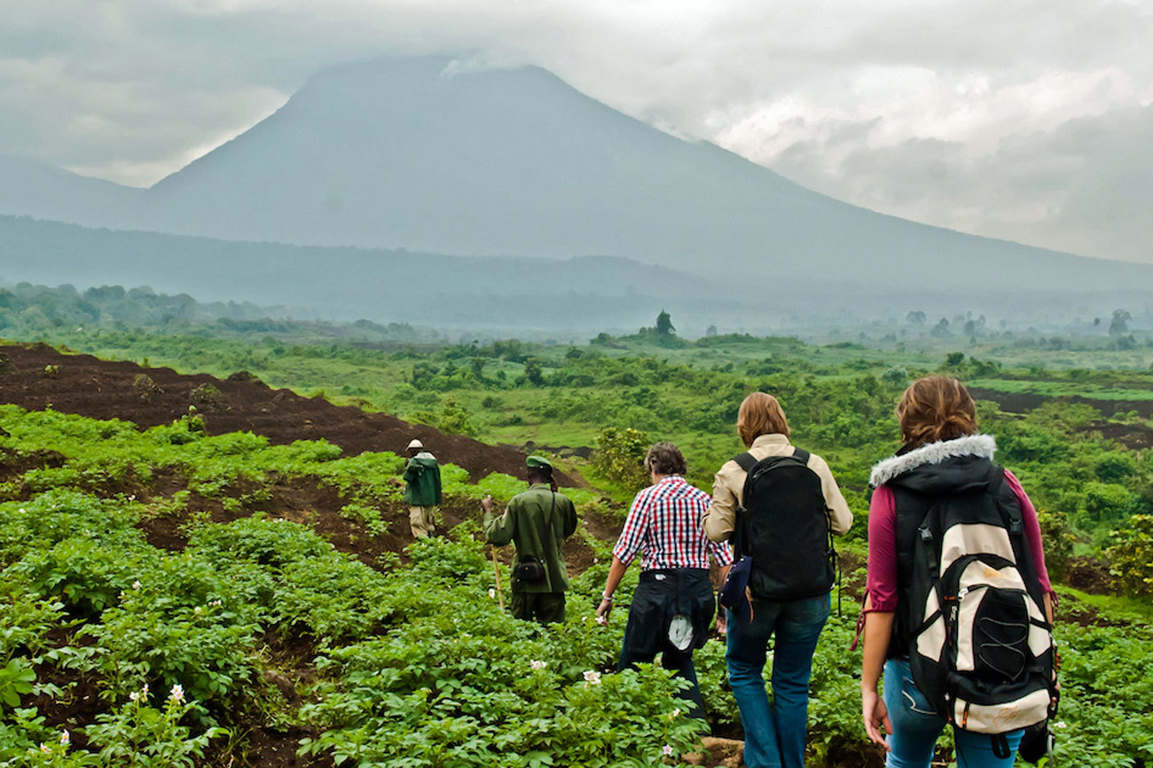 P N VIRUNGA REP BLICA DEMOCR TICA DEL CONGO frica EL MUNDO p-n-virunga-rep-blica-democr-tica-del-congo-frica-el-mundo
