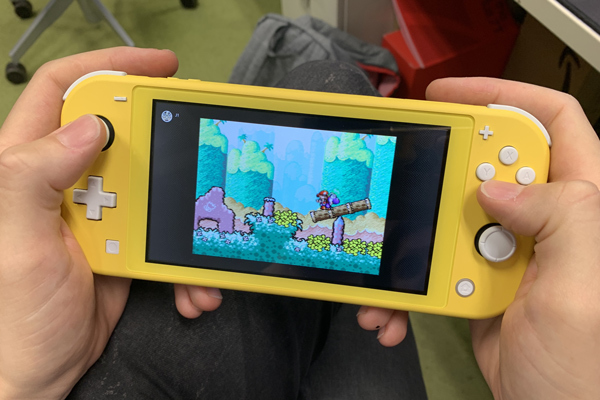 A Day With Nintendo Switch Lite Teller Report