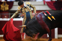 Extraordinario derechazo de Pablo Aguado al tercer toro, ayer, en la plaza de La Ribera de Logroo.