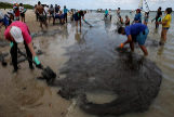 Voluntarios ayudan a eliminar manchas de petrleo en la costa brasilea.