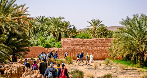 Un grupo de turistas recorre el oasis marroqu.