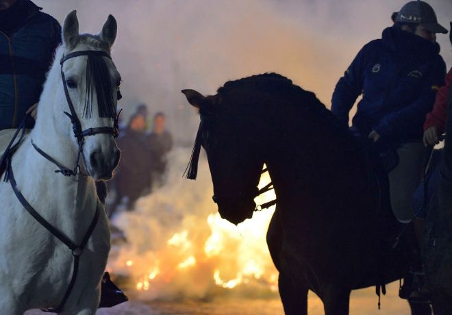 Los caballos y sus jinetes protagonizan las fiestas en honor a San Antn.